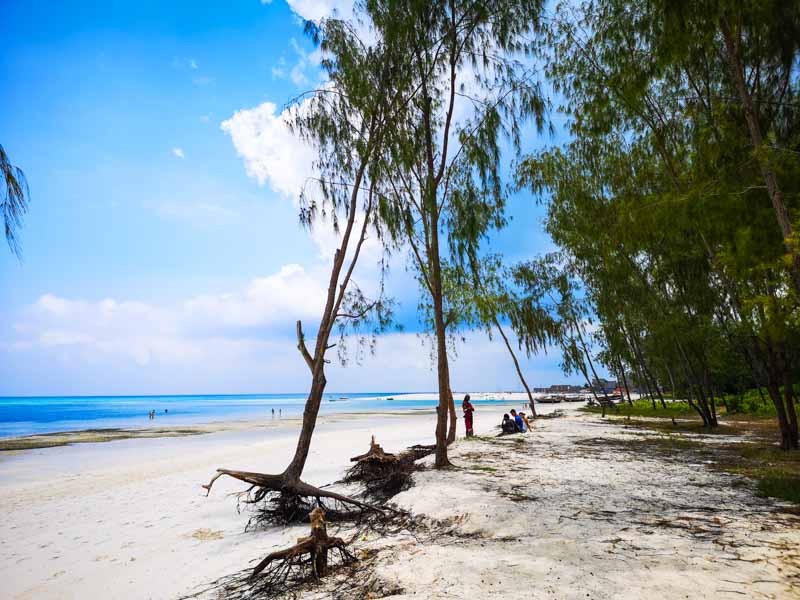 cosa vedere nel nord di zanzibar