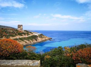 cosa visitare all'Isola dell'Asinara