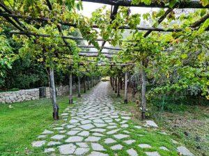 vermentino a l'Agnata di De Andrè